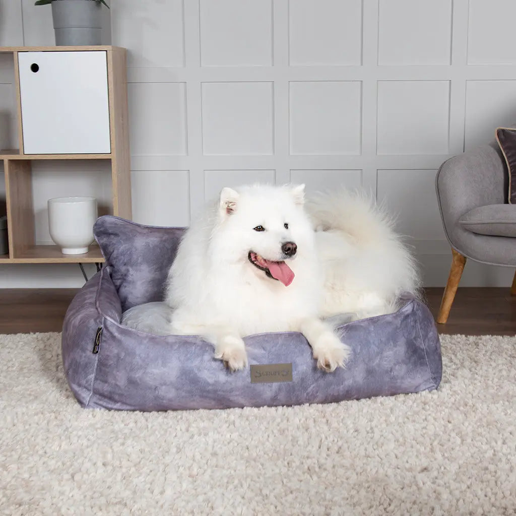 Kensington Box Dog Bed (in Cream, Chocolate, Navy or Grey) by Scruffs - Memoriex