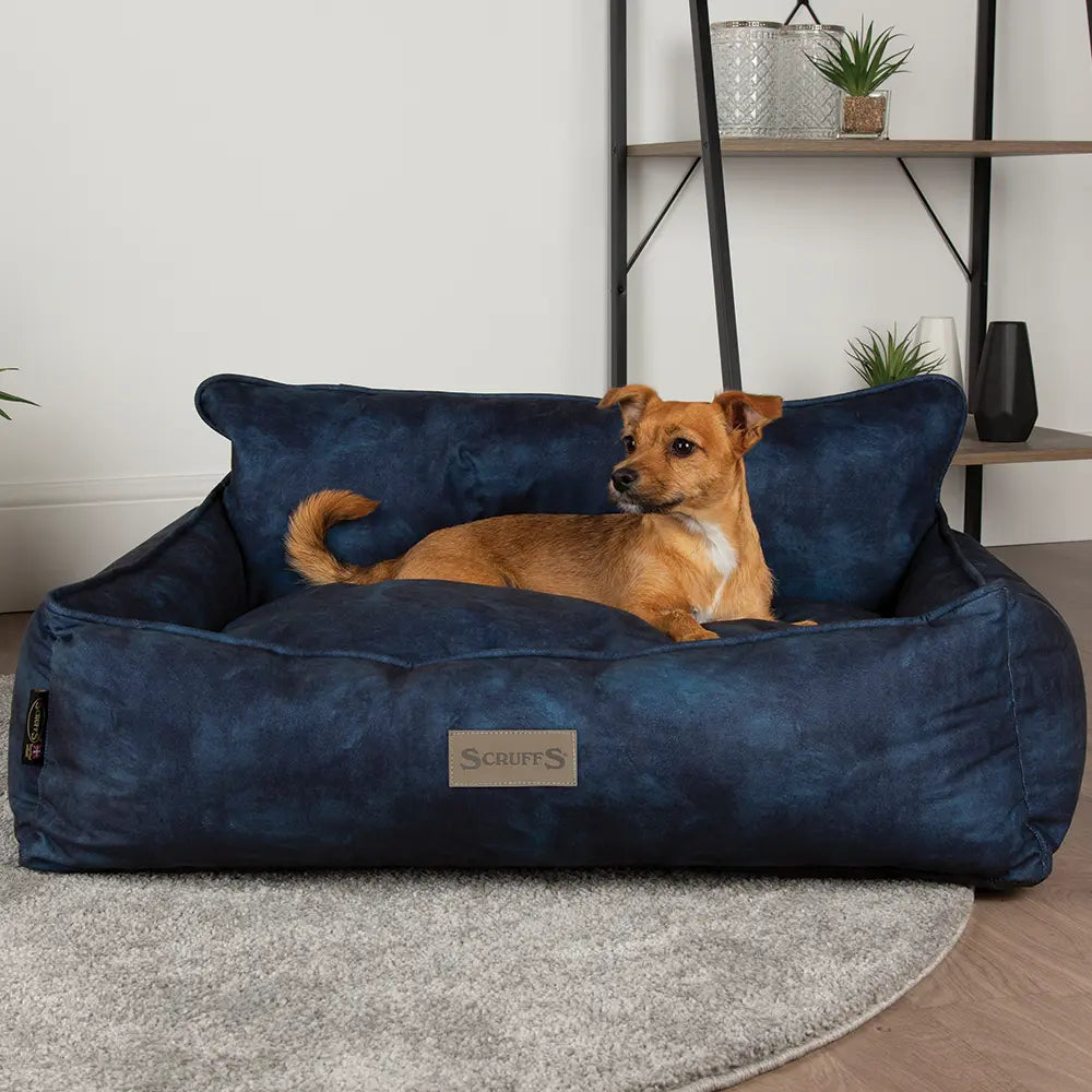 Kensington Box Dog Bed (in Cream, Chocolate, Navy or Grey) by Scruffs - Memoriex