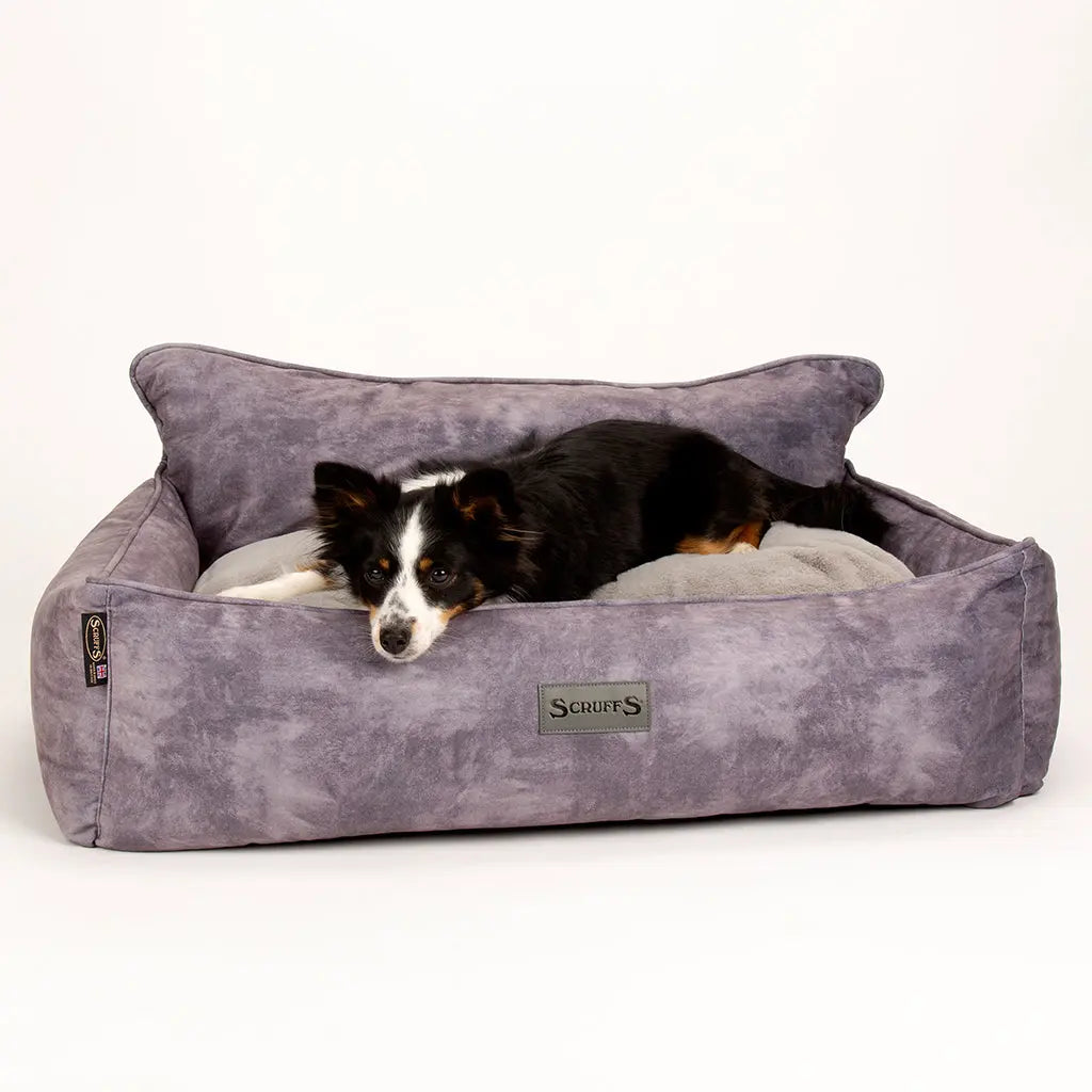 Kensington Box Dog Bed (in Cream, Chocolate, Navy or Grey) by Scruffs - Memoriex