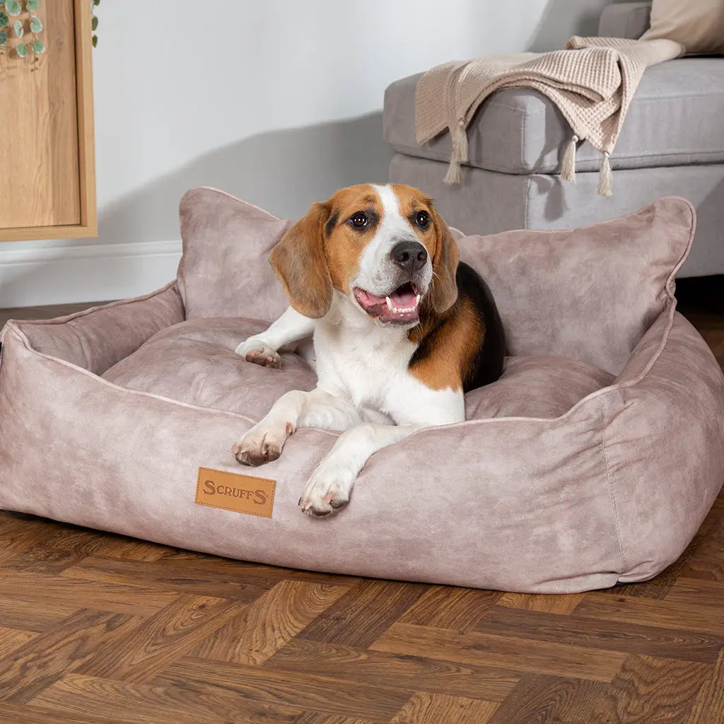 Kensington Box Dog Bed (in Cream, Chocolate, Navy or Grey) by Scruffs - Memoriex