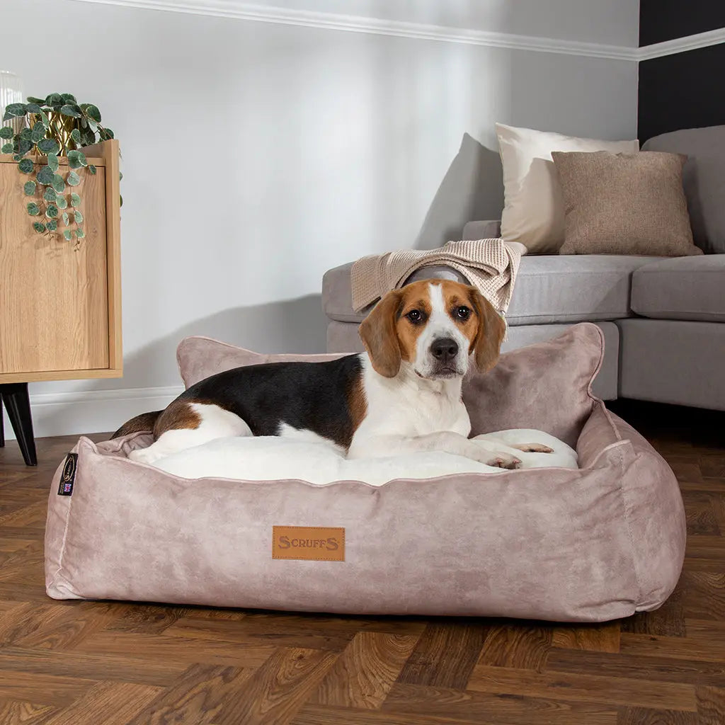 Kensington Box Dog Bed (in Cream, Chocolate, Navy or Grey) by Scruffs - Memoriex