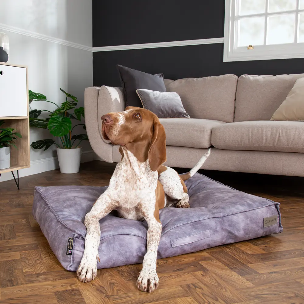 Kensington Dog Mattress (Cream, Grey, Navy or Chocolate) by Scruffs - Memoriex