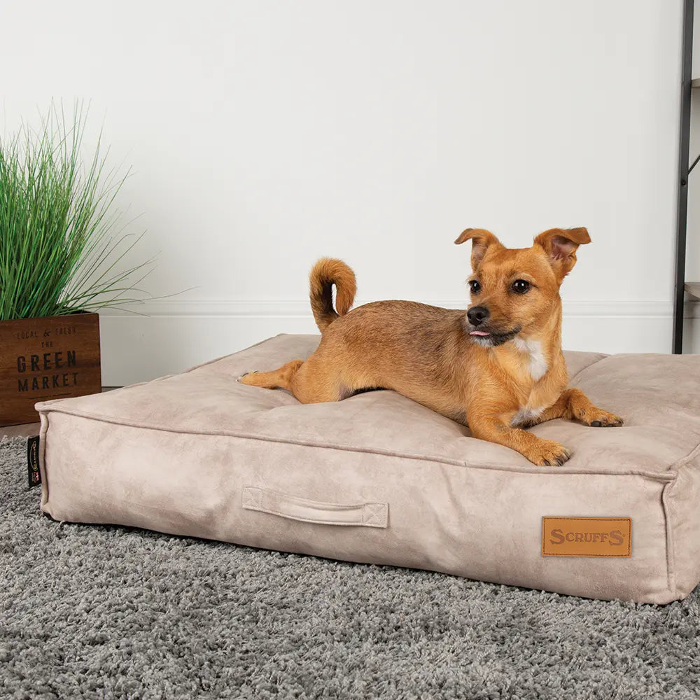 Kensington Dog Mattress (Cream, Grey, Navy or Chocolate) by Scruffs - Memoriex