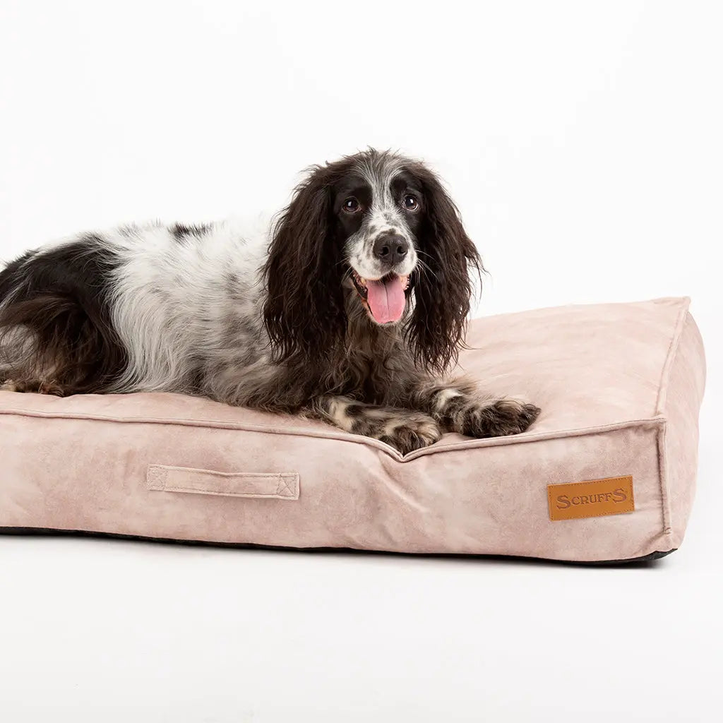 Kensington Dog Mattress (Cream, Grey, Navy or Chocolate) by Scruffs - Memoriex