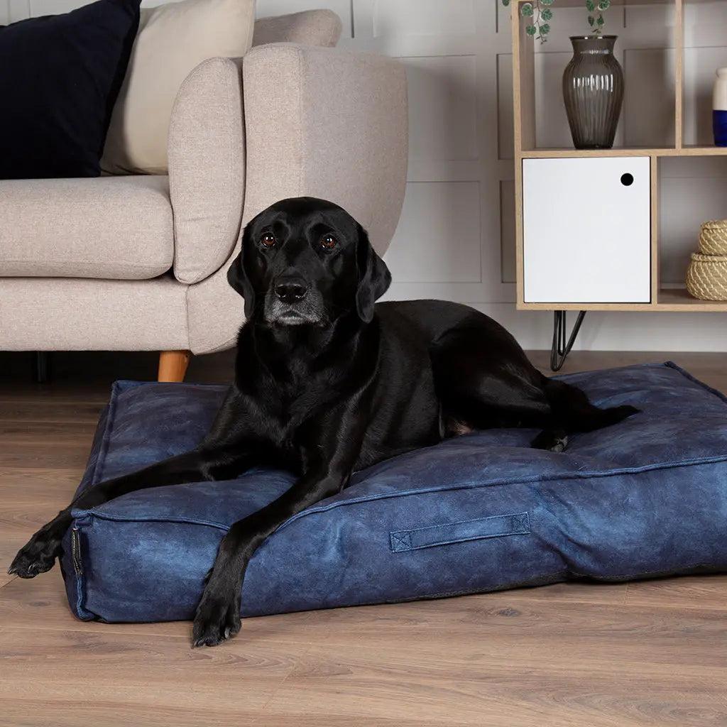 Kensington Dog Mattress (Cream, Grey, Navy or Chocolate) by Scruffs - Memoriex