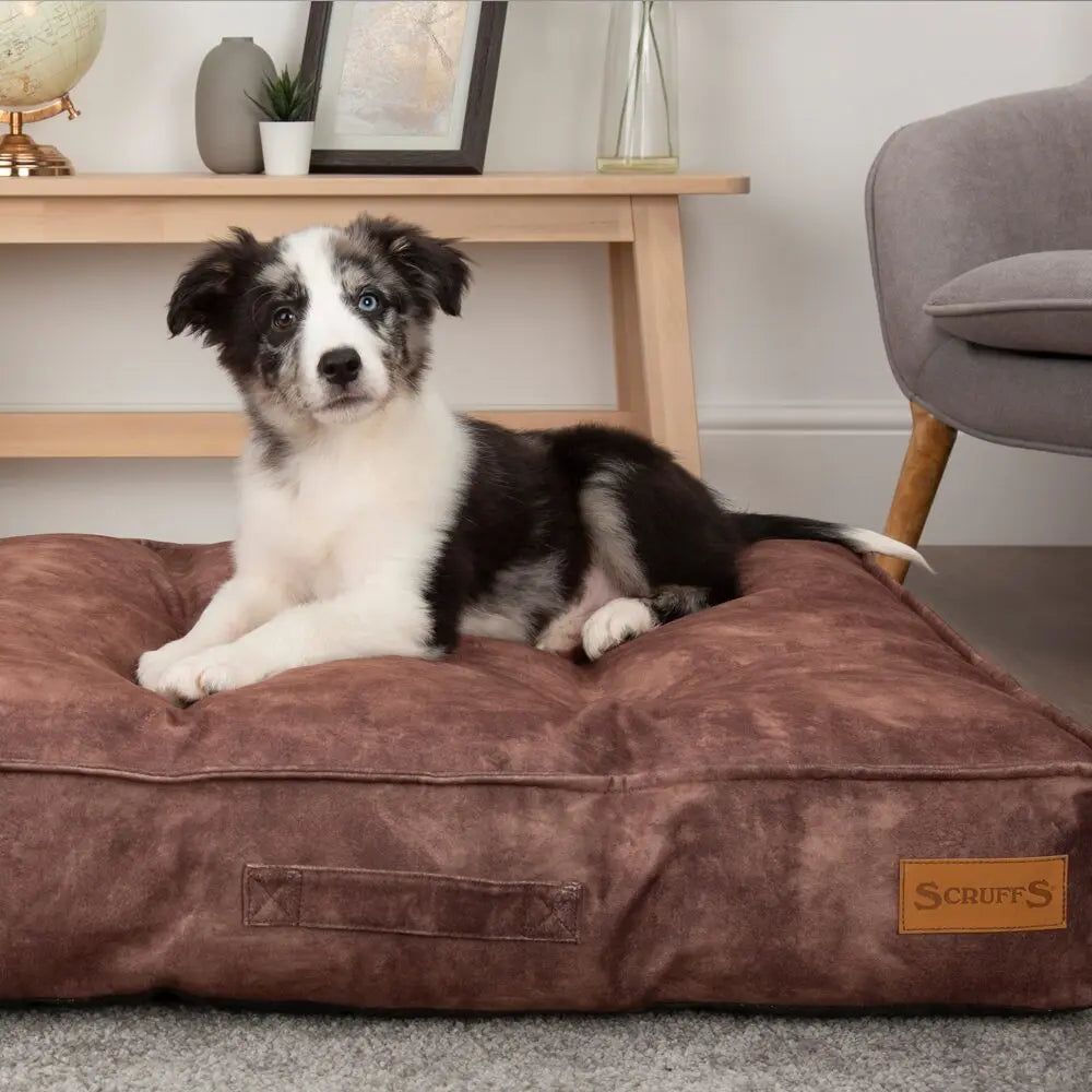 Kensington Dog Mattress (Cream, Grey, Navy or Chocolate) by Scruffs - Memoriex