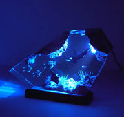 Killer Whale And Turtle Resin Night Light Home Decoration - Memoriex 