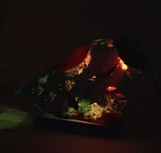 Killer Whale And Turtle Resin Night Light Home Decoration - Memoriex 