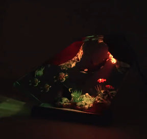 Killer Whale And Turtle Resin Night Light Home Decoration - Memoriex 