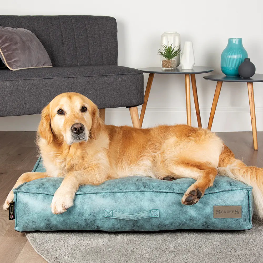 Knightsbridge Dog Mattress (Chocolate, Turquoise, Grey or Olive) by Scruffs - Memoriex