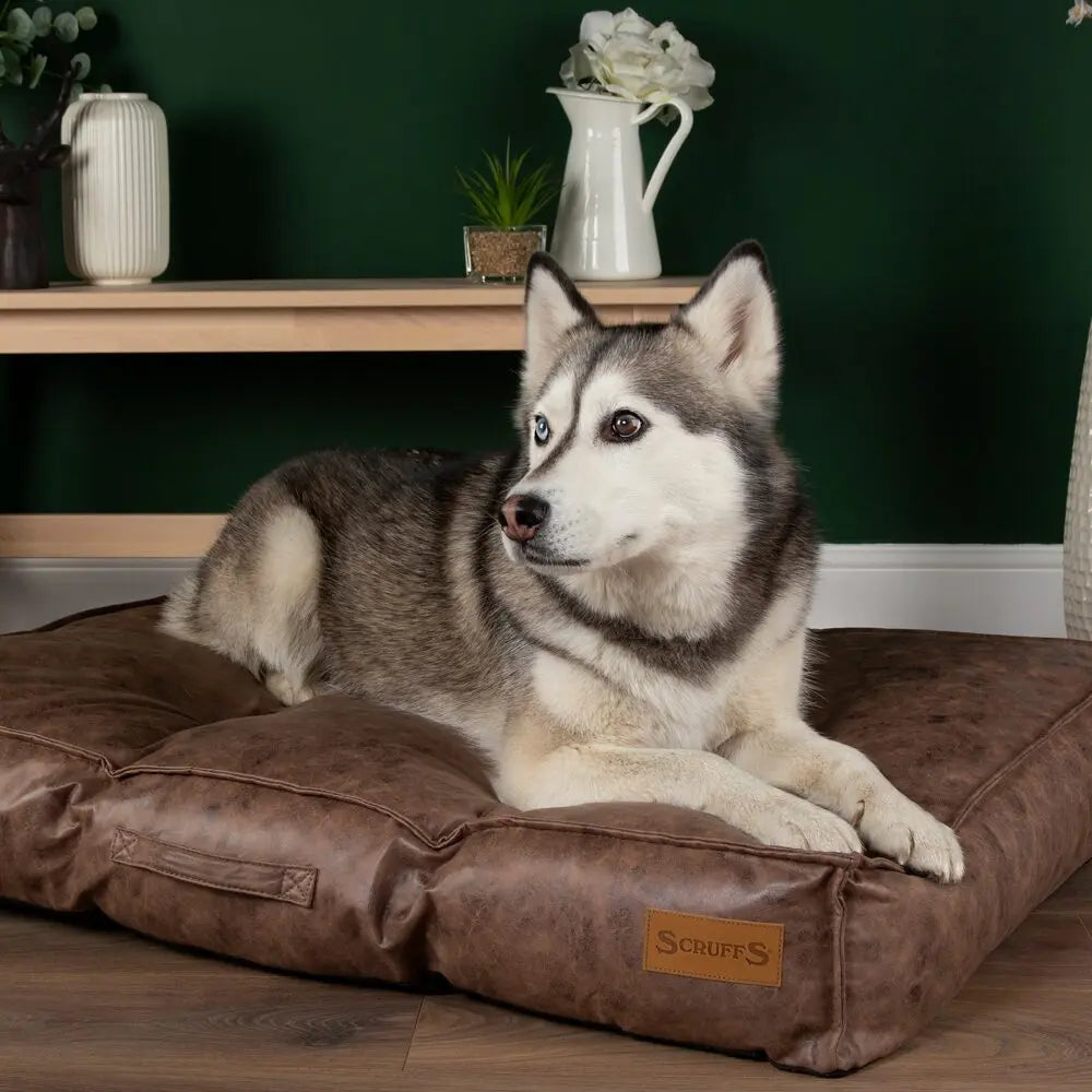 Knightsbridge Dog Mattress (Chocolate, Turquoise, Grey or Olive) by Scruffs - Memoriex