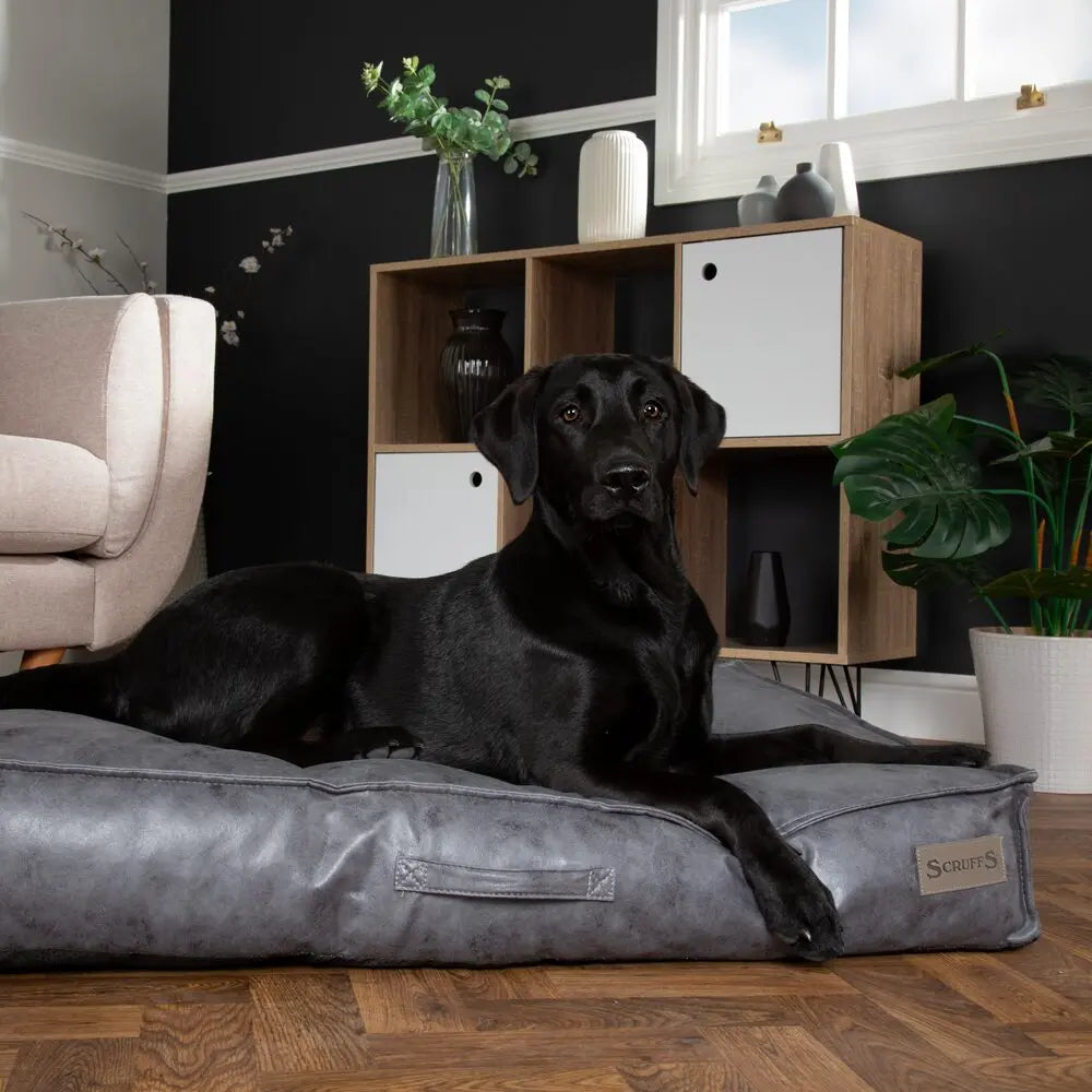 Knightsbridge Dog Mattress (Chocolate, Turquoise, Grey or Olive) by Scruffs - Memoriex