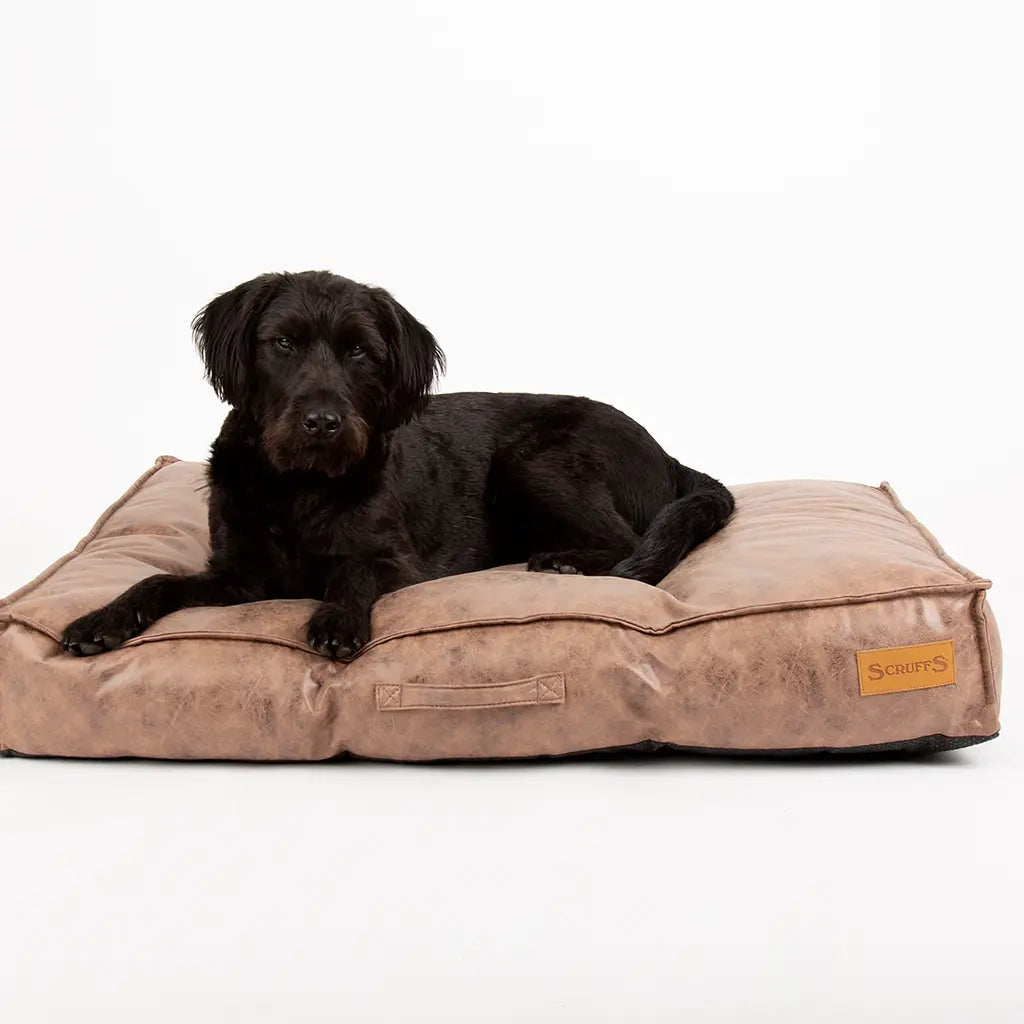 Knightsbridge Dog Mattress (Chocolate, Turquoise, Grey or Olive) by Scruffs - Memoriex