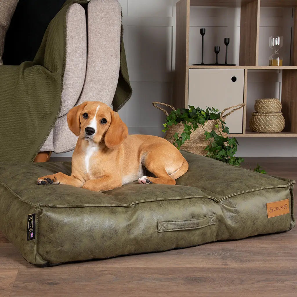 Knightsbridge Dog Mattress (Chocolate, Turquoise, Grey or Olive) by Scruffs - Memoriex