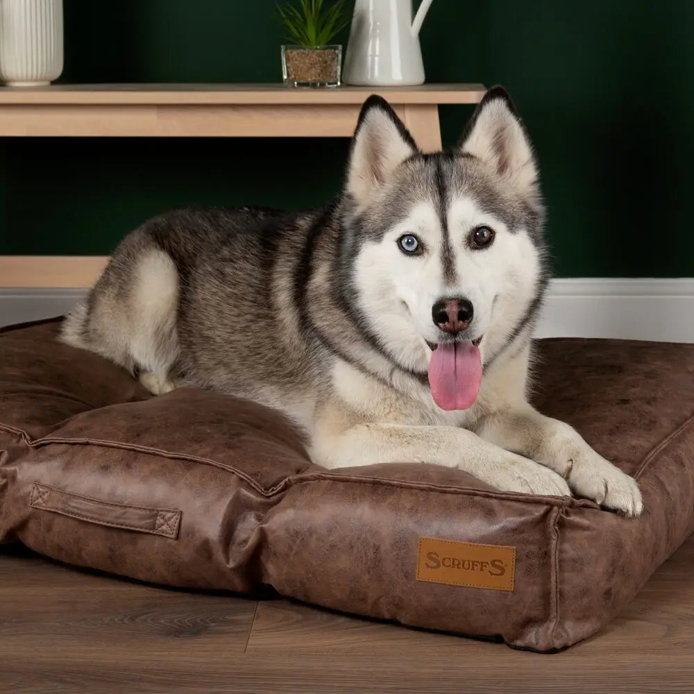 Knightsbridge Dog Mattress (Chocolate, Turquoise, Grey or Olive) by Scruffs - Memoriex