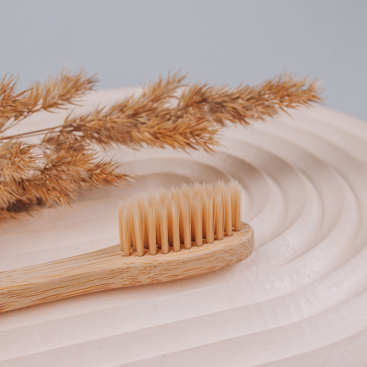 Bamboo Toothbrushes | Natural Toothbrush Set of 4-4