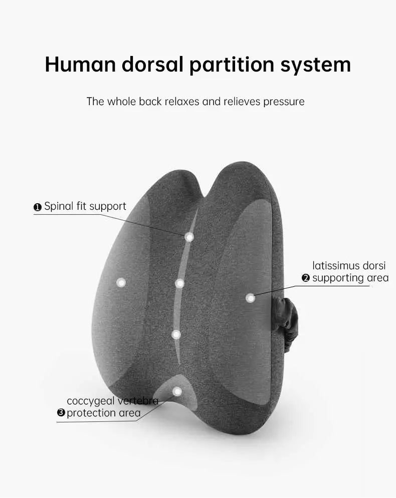 Lab Extra Dense Lumbar Pillow - Patented Ergonomic Multi-Region Firm Back Support for Lower Back Pain Relief - Lumbar Su - Memoriex 