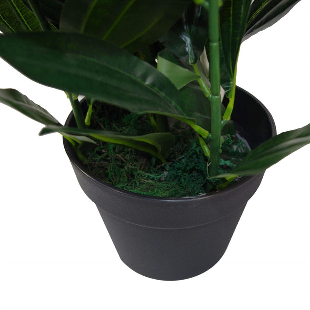 Large Artificial Foliage Plant in Pot 70cm Plants - Memoriex 