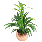 Large Edge Metal Planter 17cm - Memoriex 