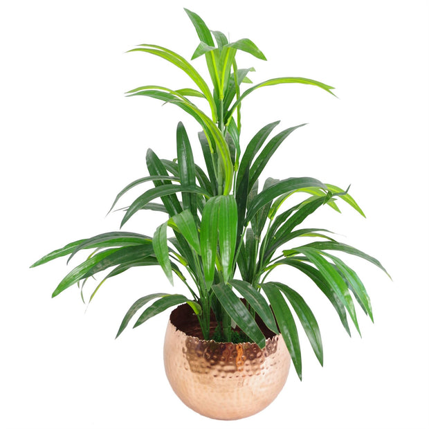 Large Edge Metal Planter 17cm - Memoriex 