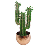 Large Edge Metal Planter 17cm - Memoriex 