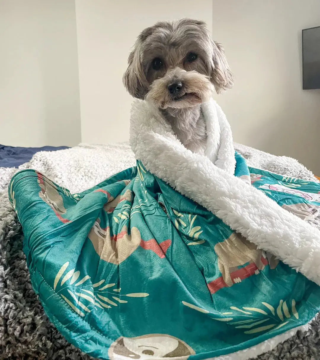 Lazy Sloth Dog Blanket (Fleece) by Pup Chic Boutique - Memoriex