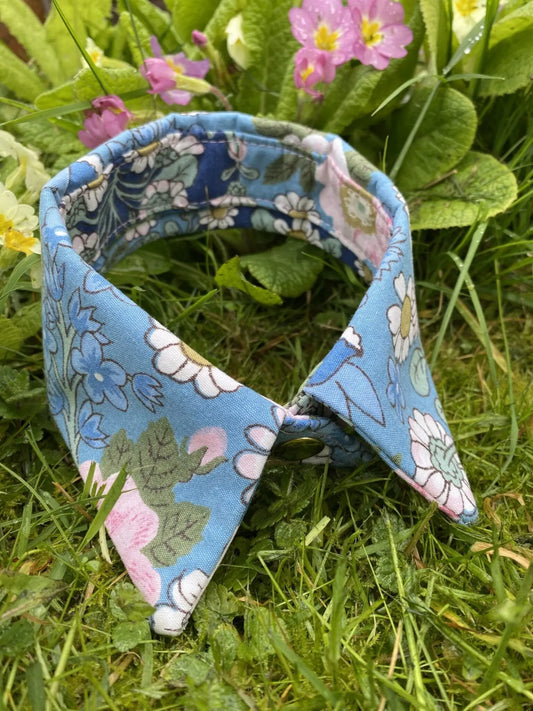 Liberty Shirt Dog Collar by Red & Ginger - Memoriex