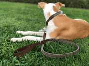 “Lincoln” Herringbone & Leather Dog Lead – by Ralph & Co-1