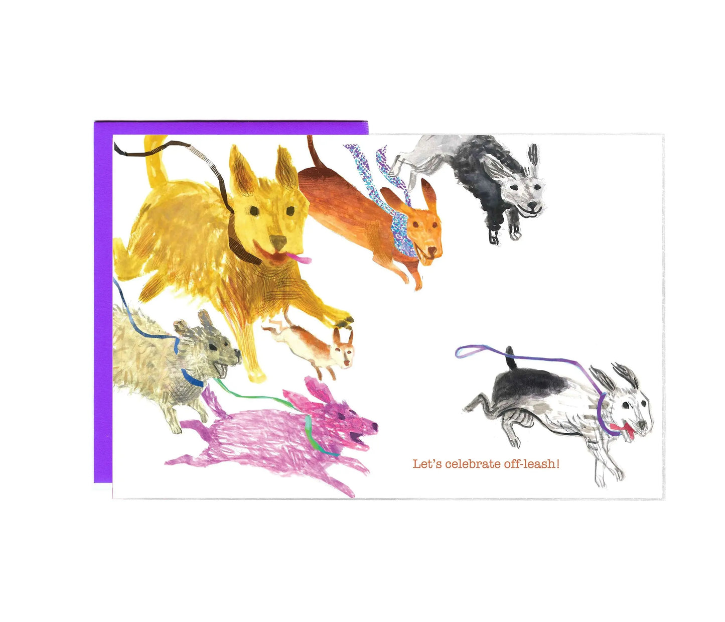 Live Off Leash - Set of 8 Cards-1