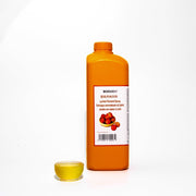 Lychee Flavoured Syrup - Memoriex 