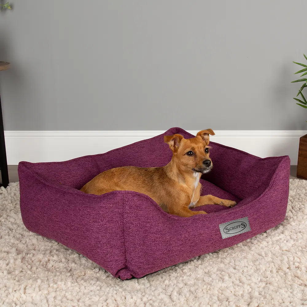 Manhattan Box Dog Bed (in Berry Purple, Denim Blue, Dark Grey or Light Grey) by Scruffs - Memoriex