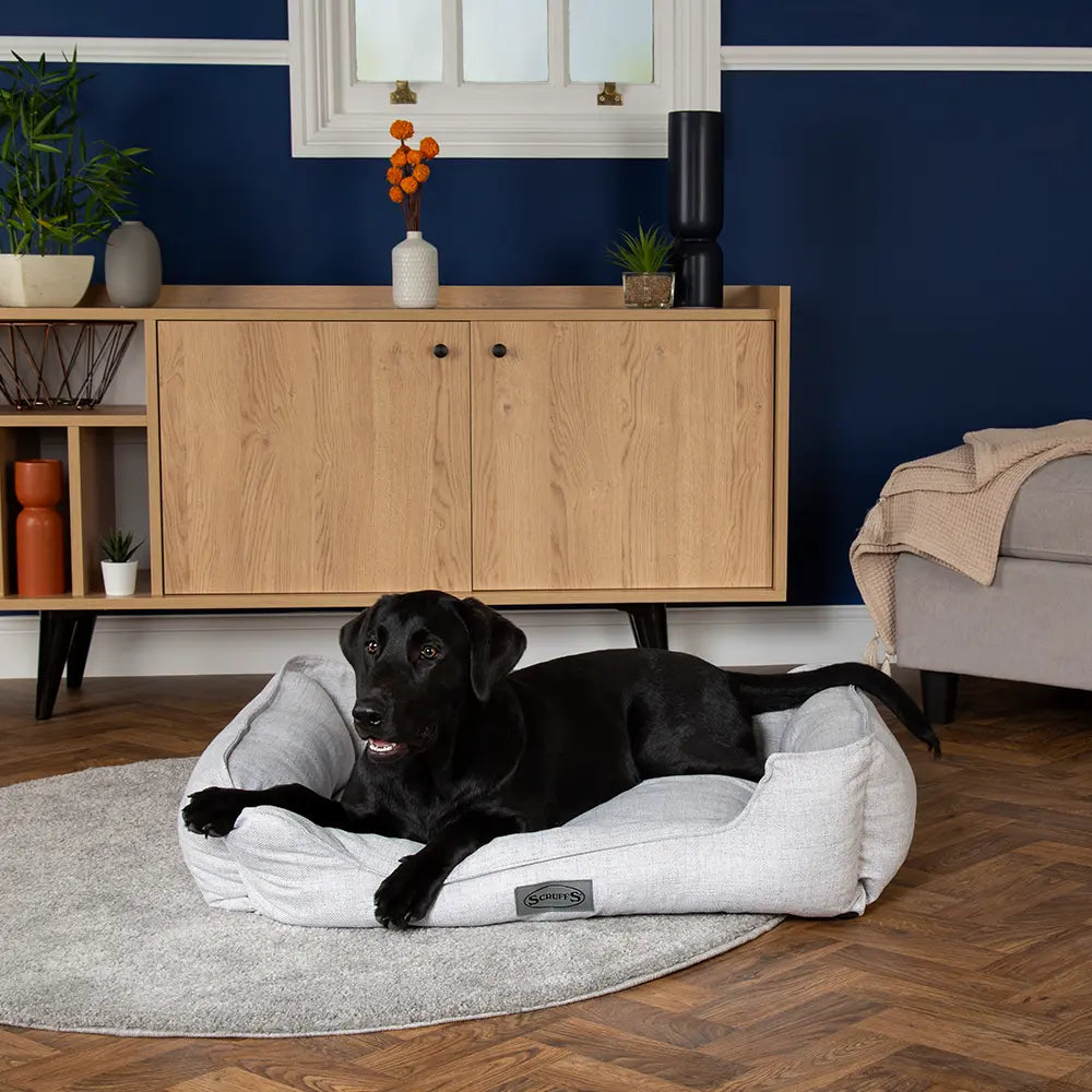 Manhattan Box Dog Bed (in Berry Purple, Denim Blue, Dark Grey or Light Grey) by Scruffs - Memoriex