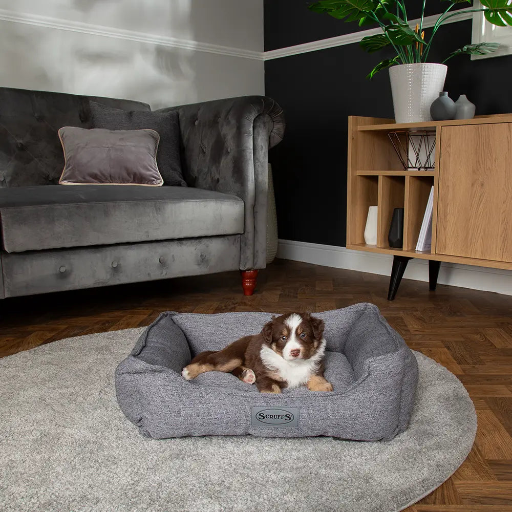 Manhattan Box Dog Bed (in Berry Purple, Denim Blue, Dark Grey or Light Grey) by Scruffs - Memoriex