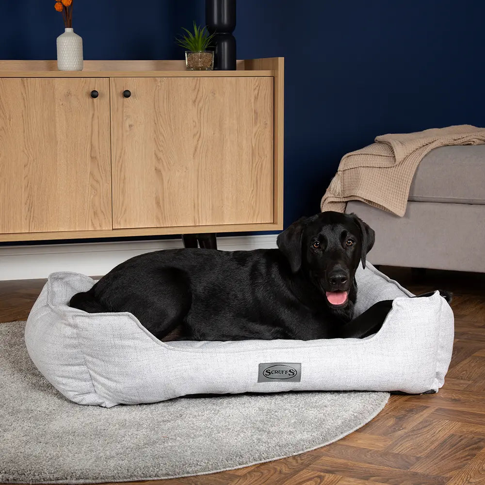 Manhattan Box Dog Bed (in Berry Purple, Denim Blue, Dark Grey or Light Grey) by Scruffs - Memoriex