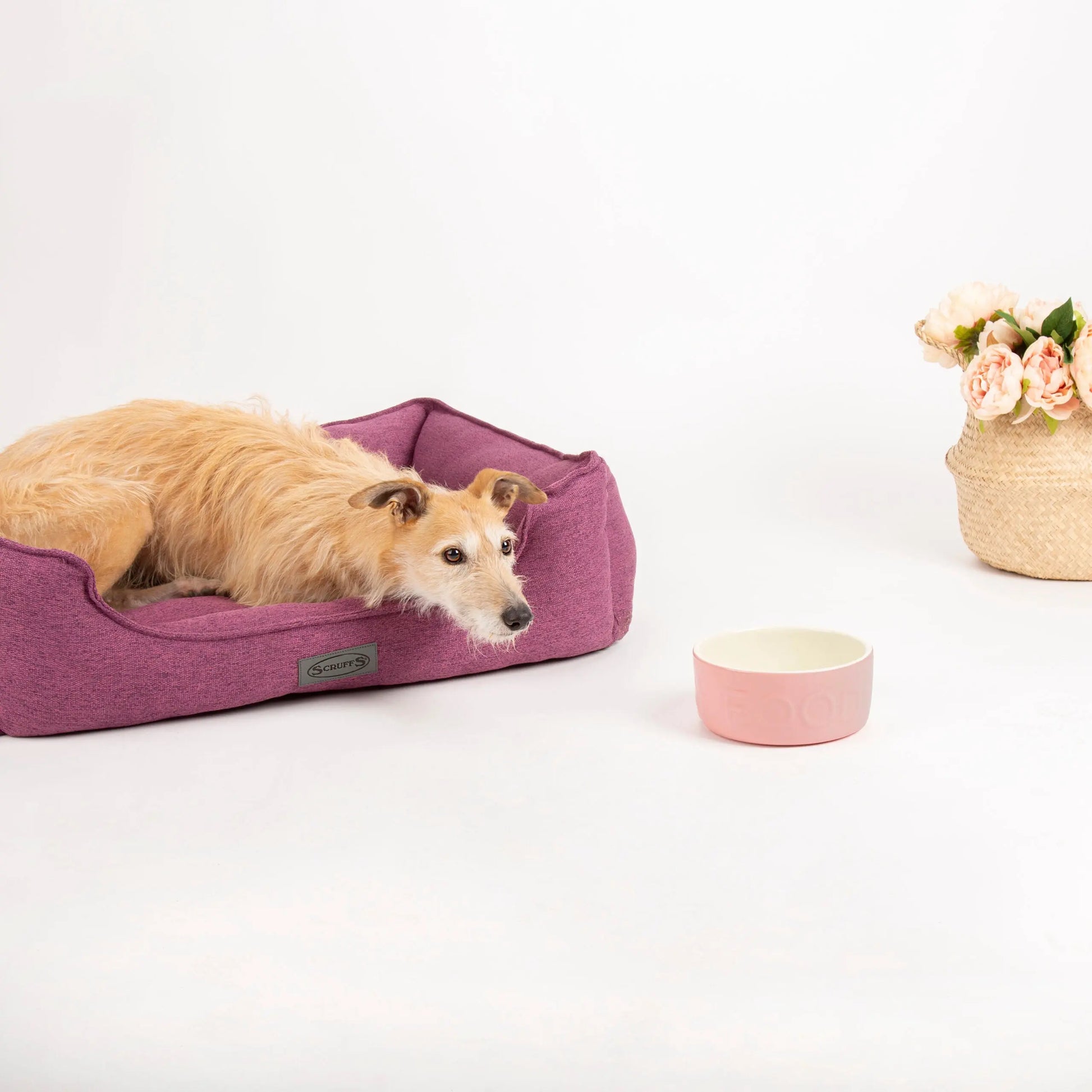 Manhattan Box Dog Bed (in Berry Purple, Denim Blue, Dark Grey or Light Grey) by Scruffs - Memoriex