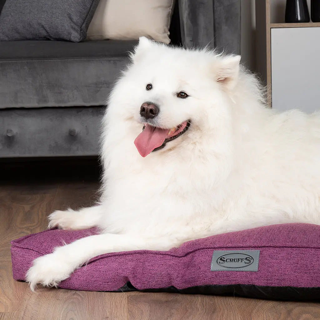 Manhattan Dog Mattress (in Berry Purple, Dark Grey, Denim Blue or Light Grey) by Scruffs - Memoriex