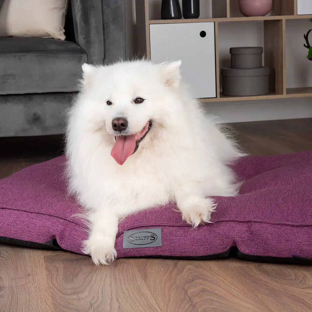 Manhattan Dog Mattress (in Berry Purple, Dark Grey, Denim Blue or Light Grey) by Scruffs - Memoriex