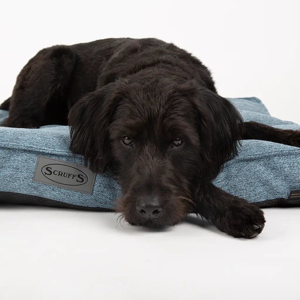 Manhattan Dog Mattress (in Berry Purple, Dark Grey, Denim Blue or Light Grey) by Scruffs - Memoriex