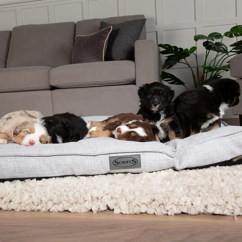 Manhattan Dog Mattress (in Berry Purple, Dark Grey, Denim Blue or Light Grey) by Scruffs - Memoriex