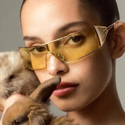 Metal Sunglasses Fashion Box Versatile Hot Girl Outdoor Sunglasses Women's Sunglasses Premium - Memoriex 