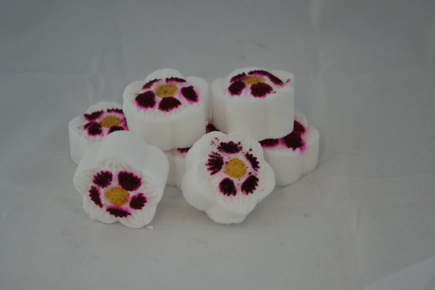 Mini Pamper Gift Shower Bomb Gift Box with 6 Shower Bombs- Vegan - Plastic Free Gift - SLS Free - Memoriex 