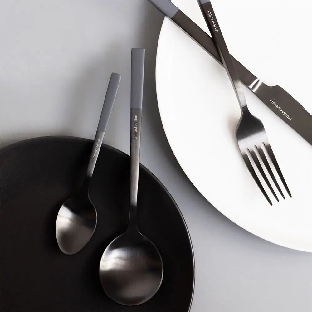 Modern Nordic Matte Black Stainless Flatware Set ( 4 Pcs)-1