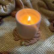 Monstera Upcycled Teak Wood Coasters - Set of 2 or 4 - Memoriex 