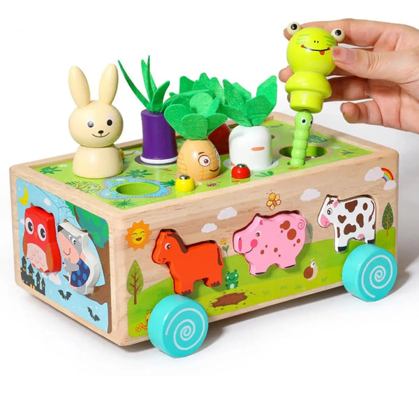 Montessori Toys Developmental Toy Carrot Harvest Game Wooden Toy Preschool Learning for Holiday Gift Ages 3 4 5 Years Old Kids - Memoriex 