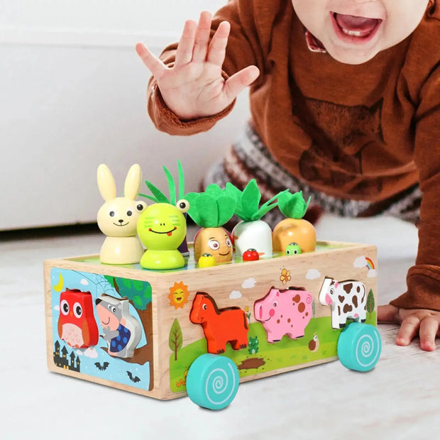Montessori Toys Developmental Toy Carrot Harvest Game Wooden Toy Preschool Learning for Holiday Gift Ages 3 4 5 Years Old Kids - Memoriex 