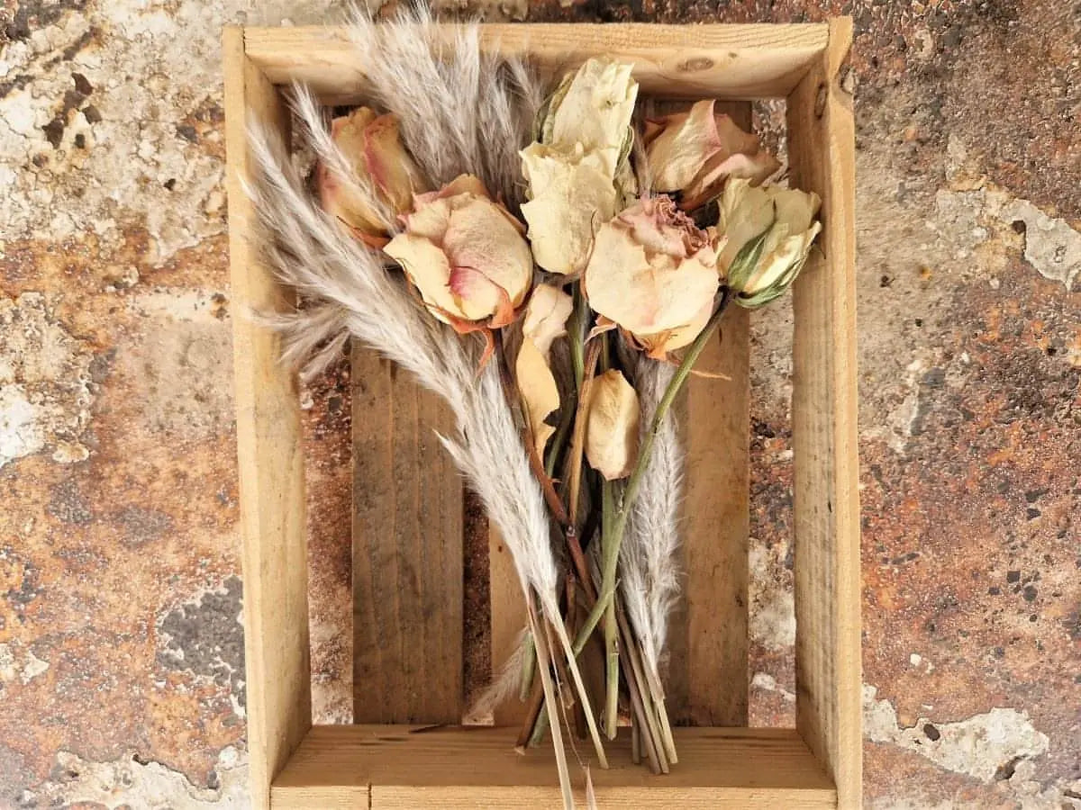 Natural Dried Roses & Pampas Grass Bouquet - Memoriex 