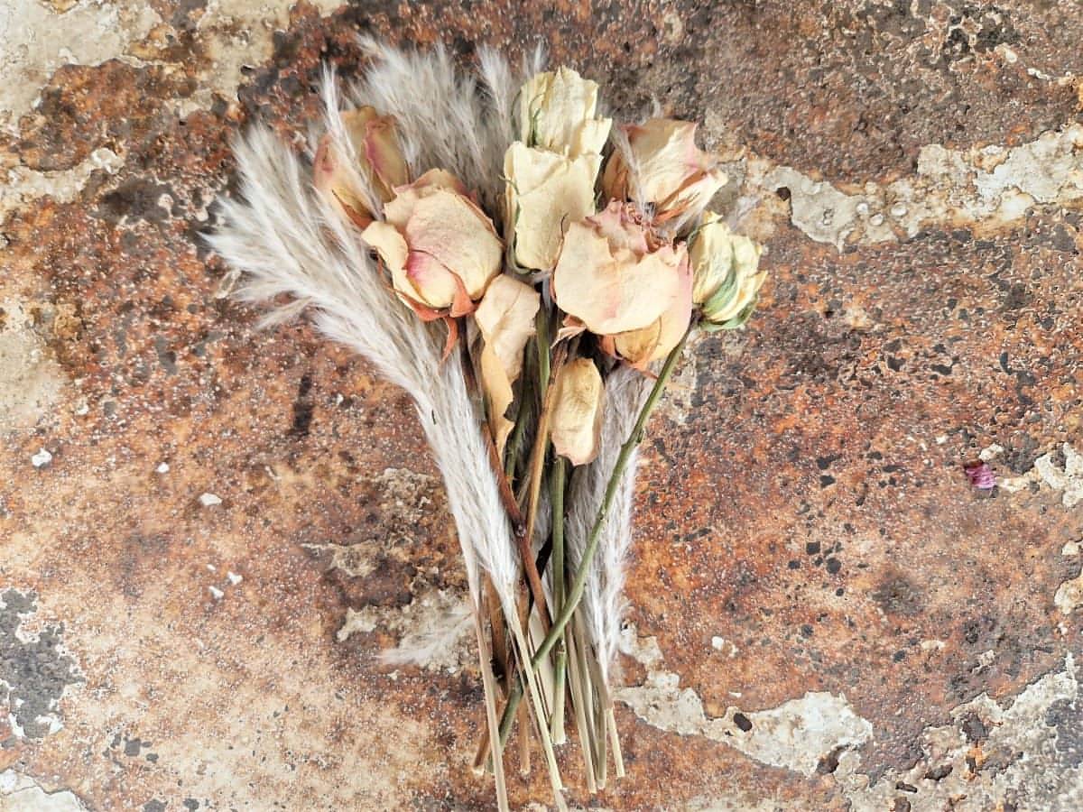 Natural Dried Roses & Pampas Grass Bouquet - Memoriex 