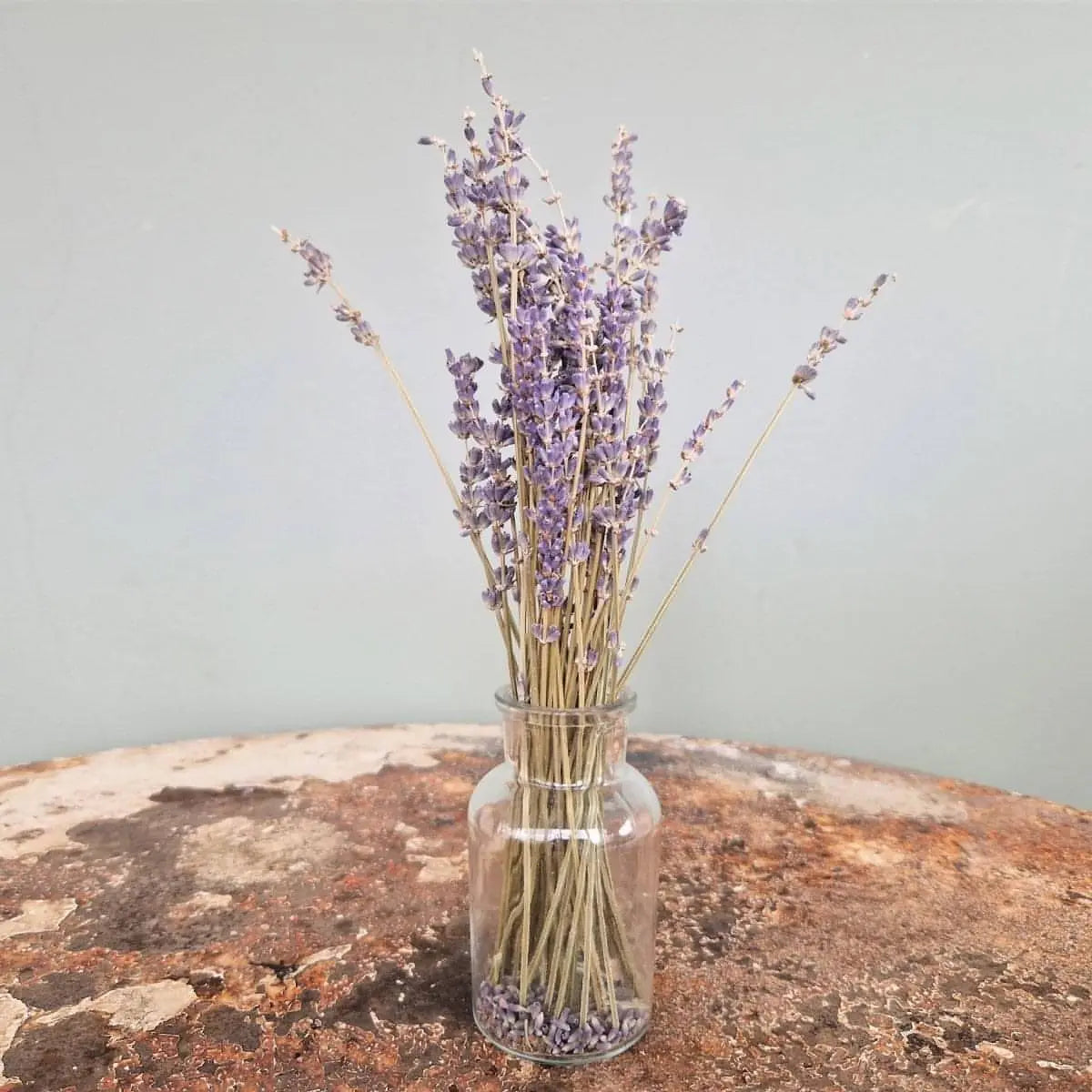 Natural Dried Small French Lavender Bunch - Memoriex 