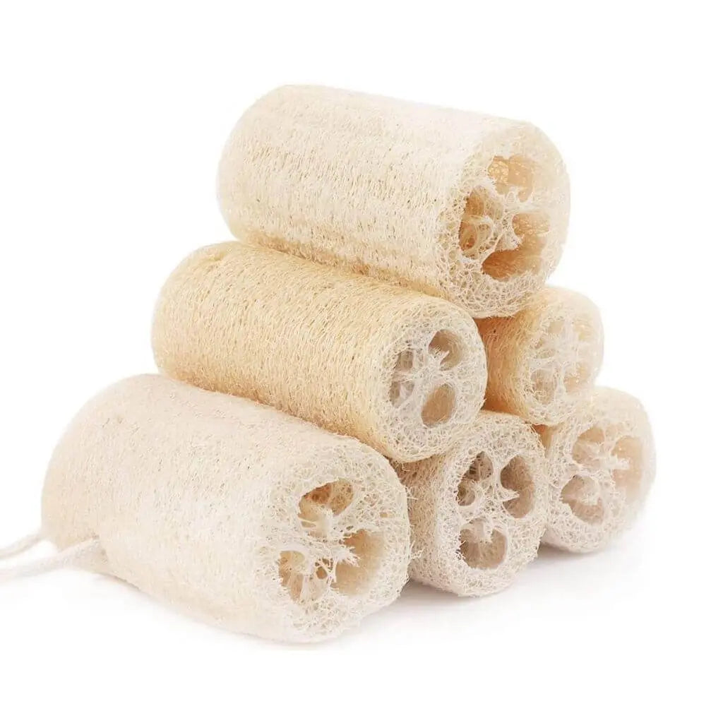 Natural Loofah | Organic Exfoliating Sponge-0