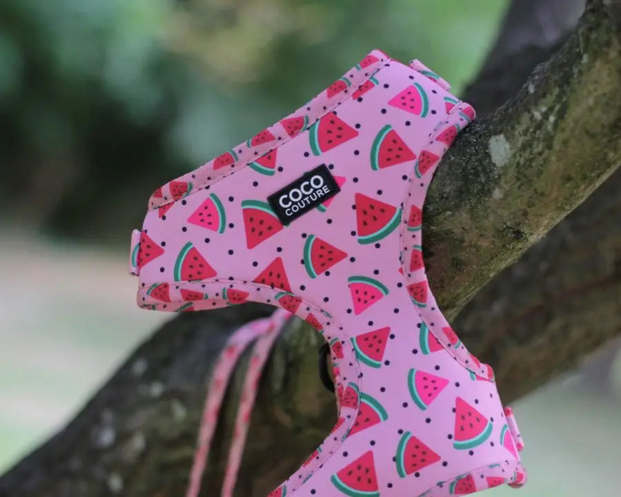 One in a Melon Adjustable Dog Harness – by Coco Couture - Memoriex